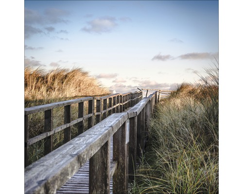 Houten loopbrug door duinlandschap met leuning