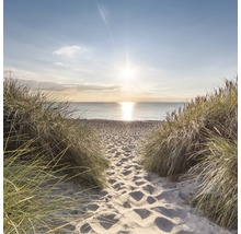 Een zandpad leidt naar de zee, omzoomd door gras