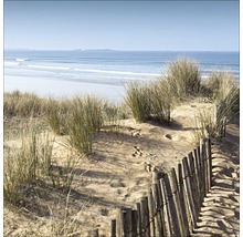 Duinlandschap met strand, zee en houten hek