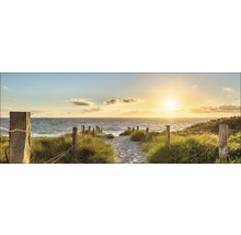 Decoratieve muurdecoratie met duinlandschap aan zee