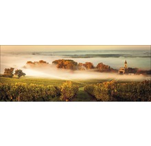 Wijngaardlandschap met mist en kerk