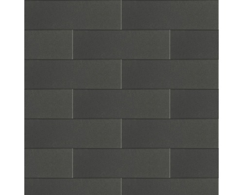 EXCLUTON Muursteen Linia palissade met facet nero 60x12x12 cm-0