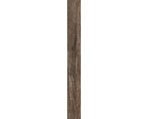 Houttegel met houtlook