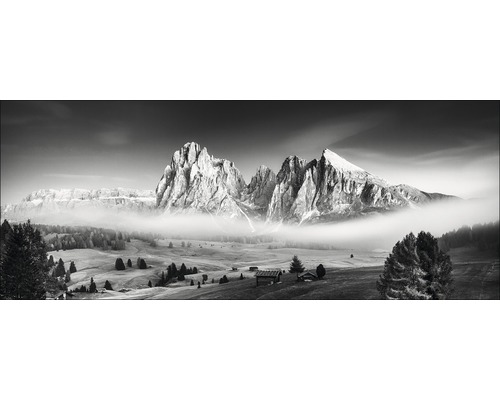 PURE LIVING Schilderij glas Mist & Mountain 30x80 cm