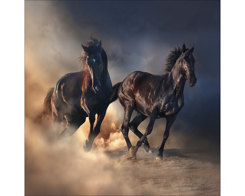 Twee galopperende paarden in het stof