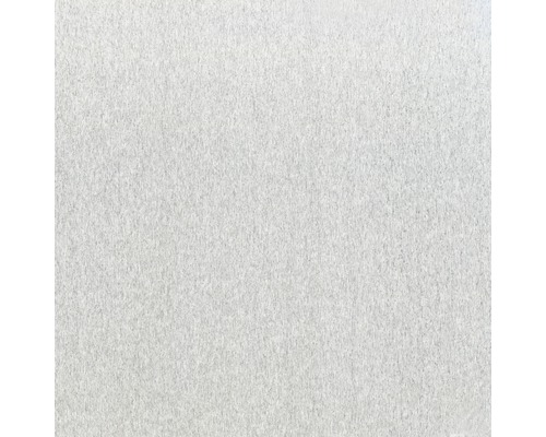 KAISERTHAL Vlakke plaat 1000x300x0,5 mm aluminium Gedetailleerde weergave van een wit pleisteroppervlak
