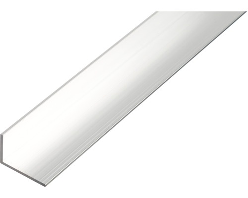 KAISERTHAL Hoekprofiel 30x20x2 mm aluminium 100 cm