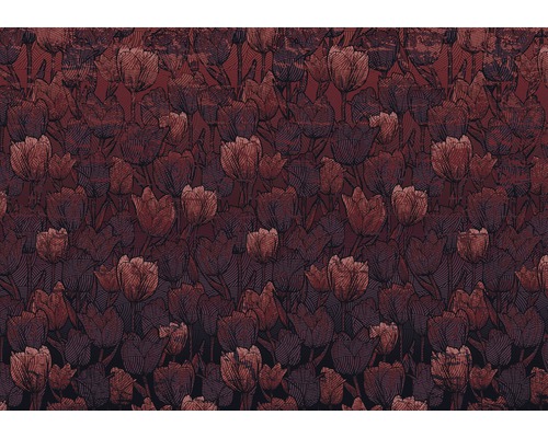 KOMAR Fotobehang vlies HX8-051 Tulipe 400x280 cm