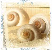 Decoratieve afbeelding met schelpen op zand voor een houten achtergrond