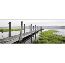 Houten steiger aan het meer met groene planten