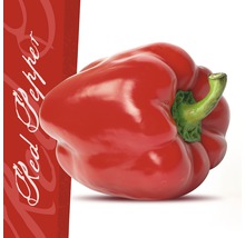 Rode paprika