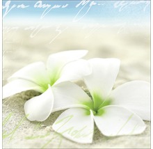 Decoratieve papieren servetten met frangipani bloemenmotief