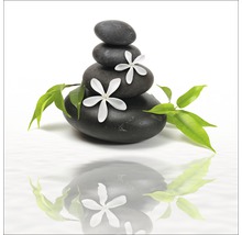 Stapel van zwarte stenen met witte bloemen en groene bladeren voor wellness en decoratie