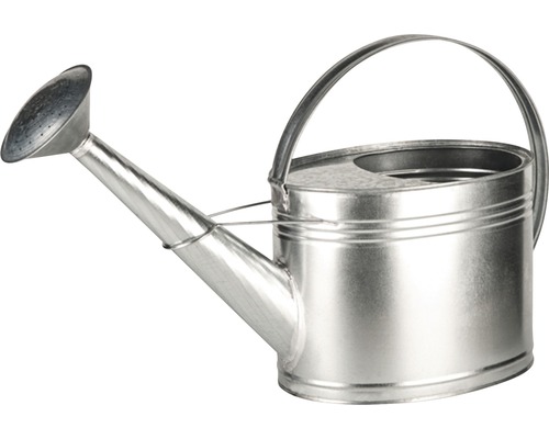 Verzinkte gieter met sproeikop en handvat