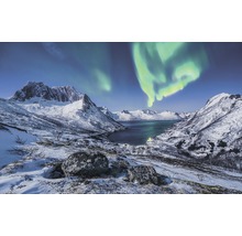 Winterlandschap met bergen, meer en poollicht