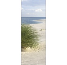 Strandlandschap met duin, zand en zee
