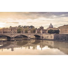 Gezicht op Rome met Tiber, brug en gebouwen