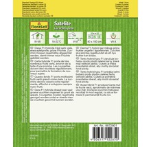 FLORASELF® Courgette Satelite groentezaden-thumb-1