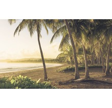 Strandlandschap met palmbomen en de zee
