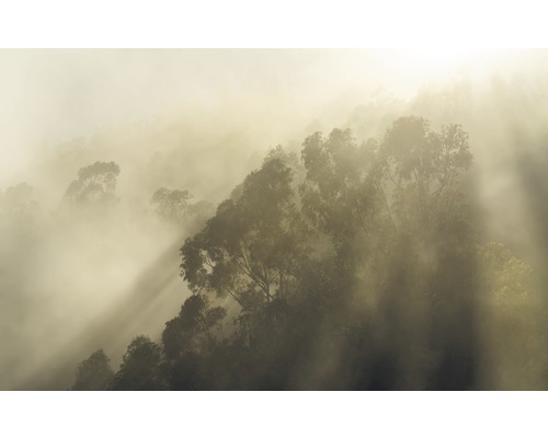 KOMAR Fotobehang vlies SH067-VD4 Misty Mountain 400x250 cm