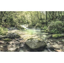 Rivier die door een bos stroomt met stenen en vegetatie