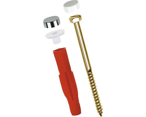 Schroef met plug en afdekkap