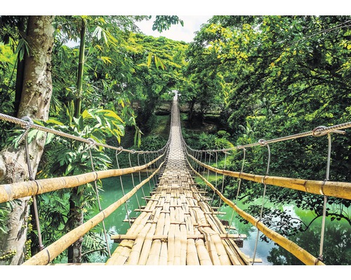 PLANET PICTURES Decopaneel Jungle bridge 98x136 cm
