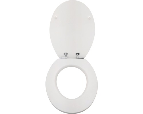 Toiletbril van kunststof