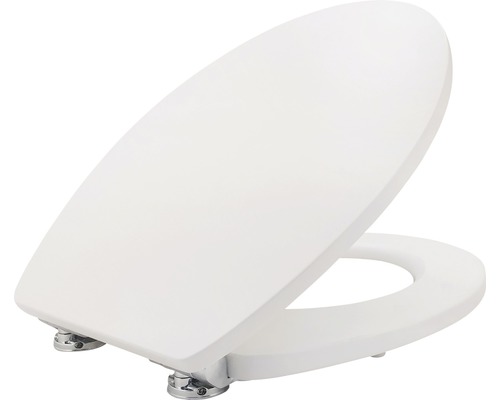 Toiletzitting met deksel en chromen fittingen