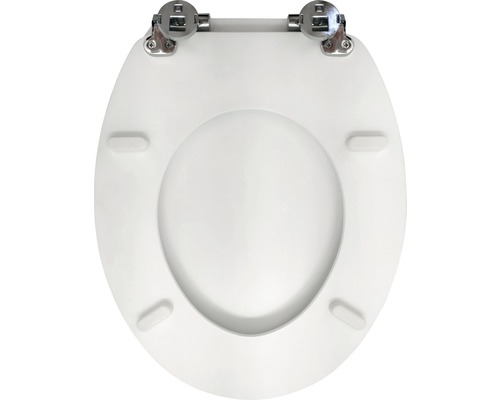 Toiletbril met metalen scharnieren