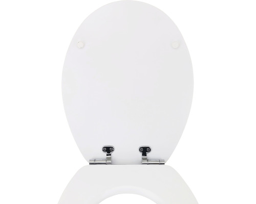 Toiletbril van sanitair keramiek