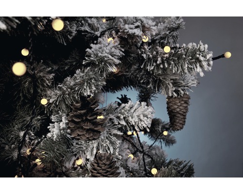 Versierde kerstboom met dennenappels en lichtsnoer