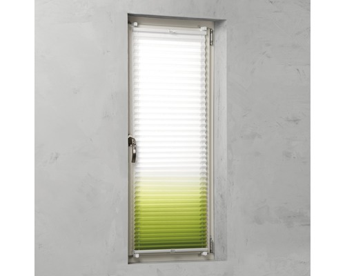 Plissé rolgordijn op het raam voor lichtregulering