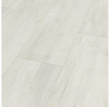 Laminaat 8.0 exquisit plus oriental oak white-thumb-0