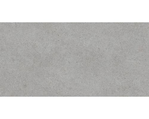 Wand- en vloertegel Sassi gris 59,1x119,1 cm gerectificeerd