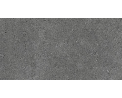 Wand- en vloertegel Sassi marengo 59,1x119,1 cm gerectificeerd