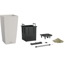 Complete plantenbakset met plantinzet, irrigatiesysteem en substraat