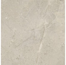 Wand- en vloertegel Anden Bone mat 60x60 cm gerectificeerd