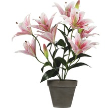 Decoratieve roze lelies in een grijze pot voor binnenshuis