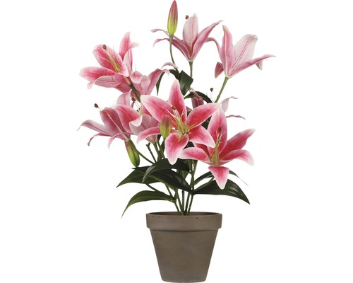 Leliebos met roze bloemen in een pot