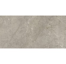 Wand- en vloertegel Anden Natural gepolijst 60x120 cm gerectificeerd