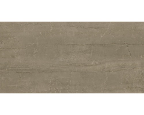 Wand- en vloertegel Living bruin 60x120 cm gerectificeerd