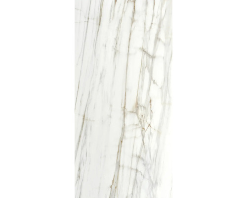 Voorbeeld van een witte marmeren tegel met grijsgouden aderen