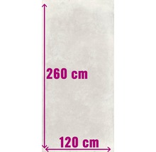 Tegel met afmetingen 260 cm bij 120 cm.