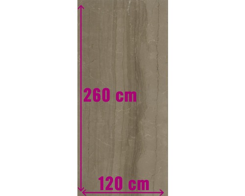 XXL Wandtegel Living Cinnamon gepolijst 120x260 cm 7 mm gerectificeerd