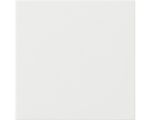 GIRA System 55 Centraalplaat voor touchdimmer System 3000 zuiverwit glans 536003 Vierkante, witte tegel