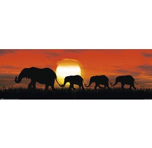 PLANET PICTURES Decopaneel Sunset elephant 30x90 cm-thumb-0