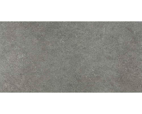 Wand- en Vloertegel Alpen grijs 60x120 cm gerectificeerd