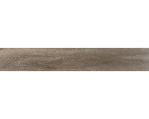 Wand- en vloertegel Triglav taupe mat 20x120 cm gerectificeerd