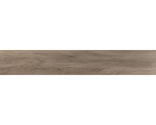 Wand- en vloertegel Triglav natural mat 20x120 cm gerectificeerd